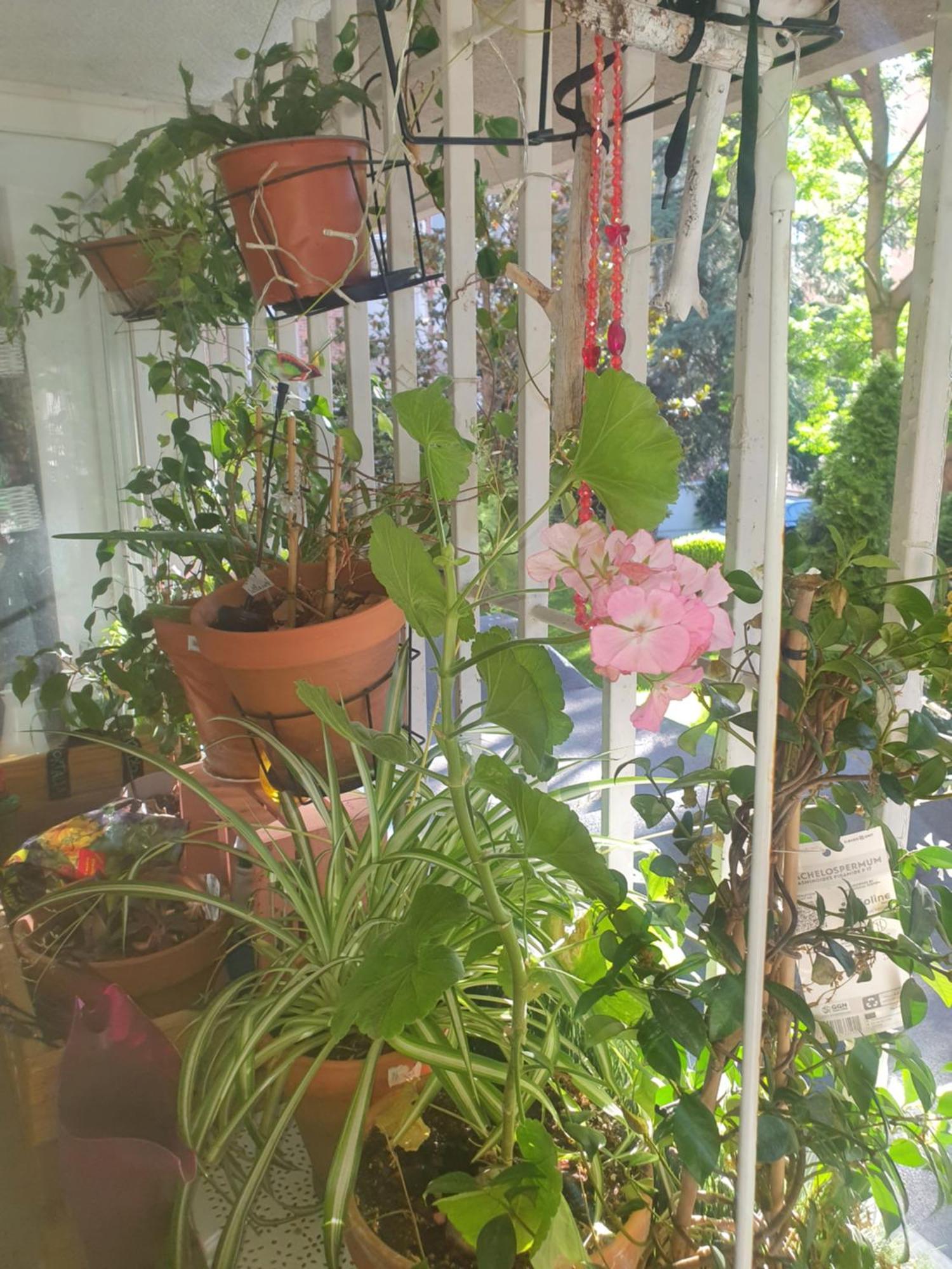 马德里Libros Y Plantas A 5 Minutos Del Centro En Bus公寓 外观 照片