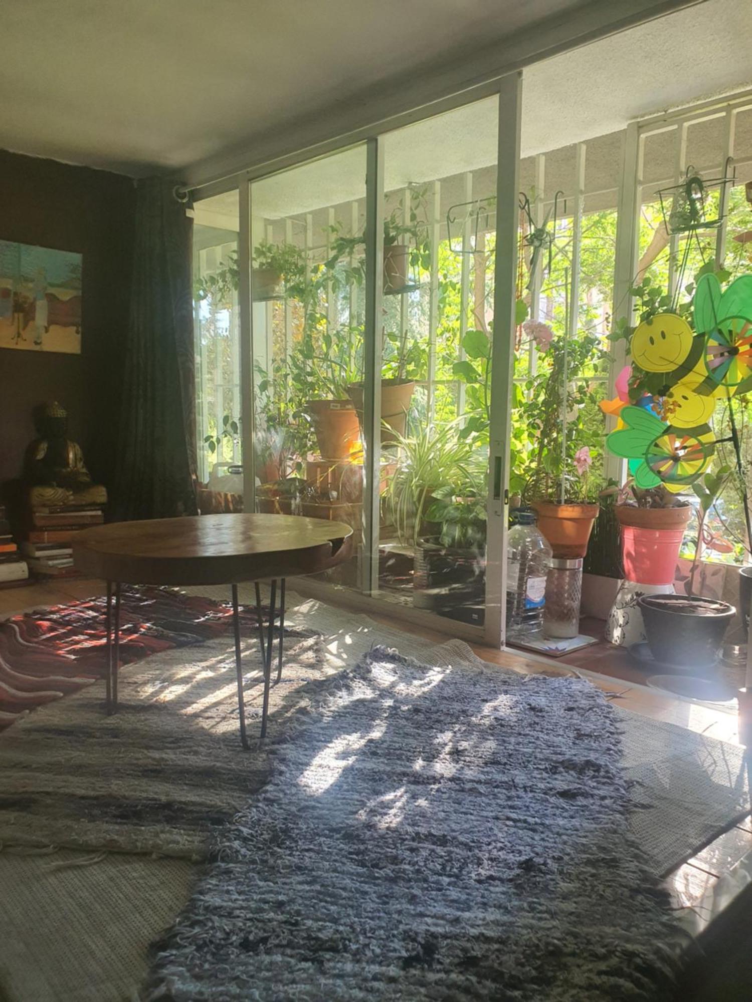 马德里Libros Y Plantas A 5 Minutos Del Centro En Bus公寓 外观 照片